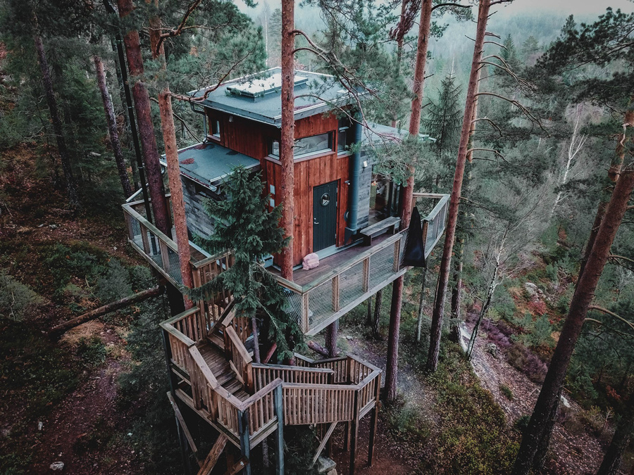 дом в лесу норвегия