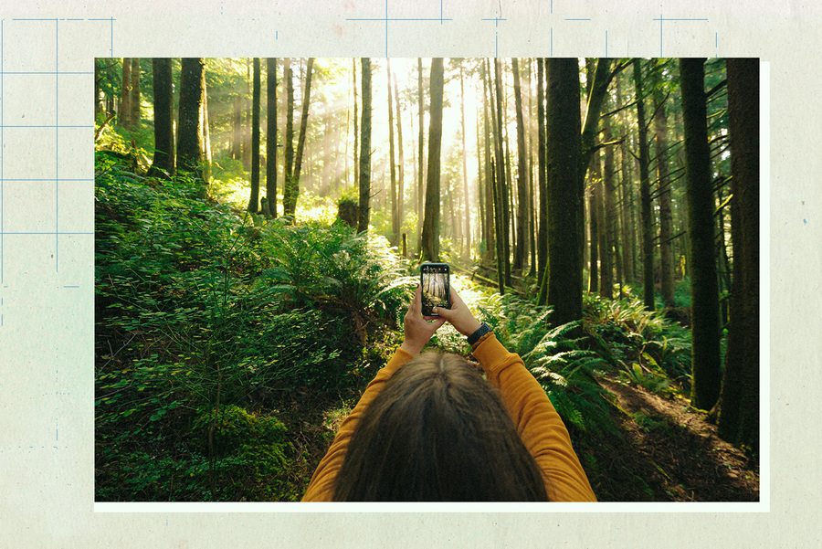 Девушка фотографирует лес