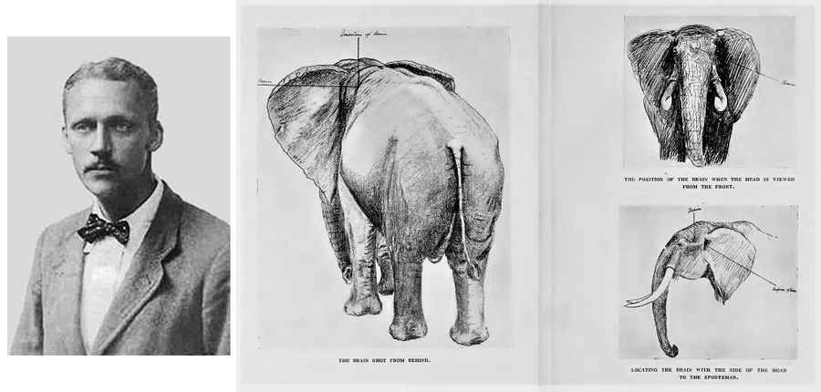 Уолтер Белл, более известный как «Карамоджа» Белл и его метод выстрела в слонов