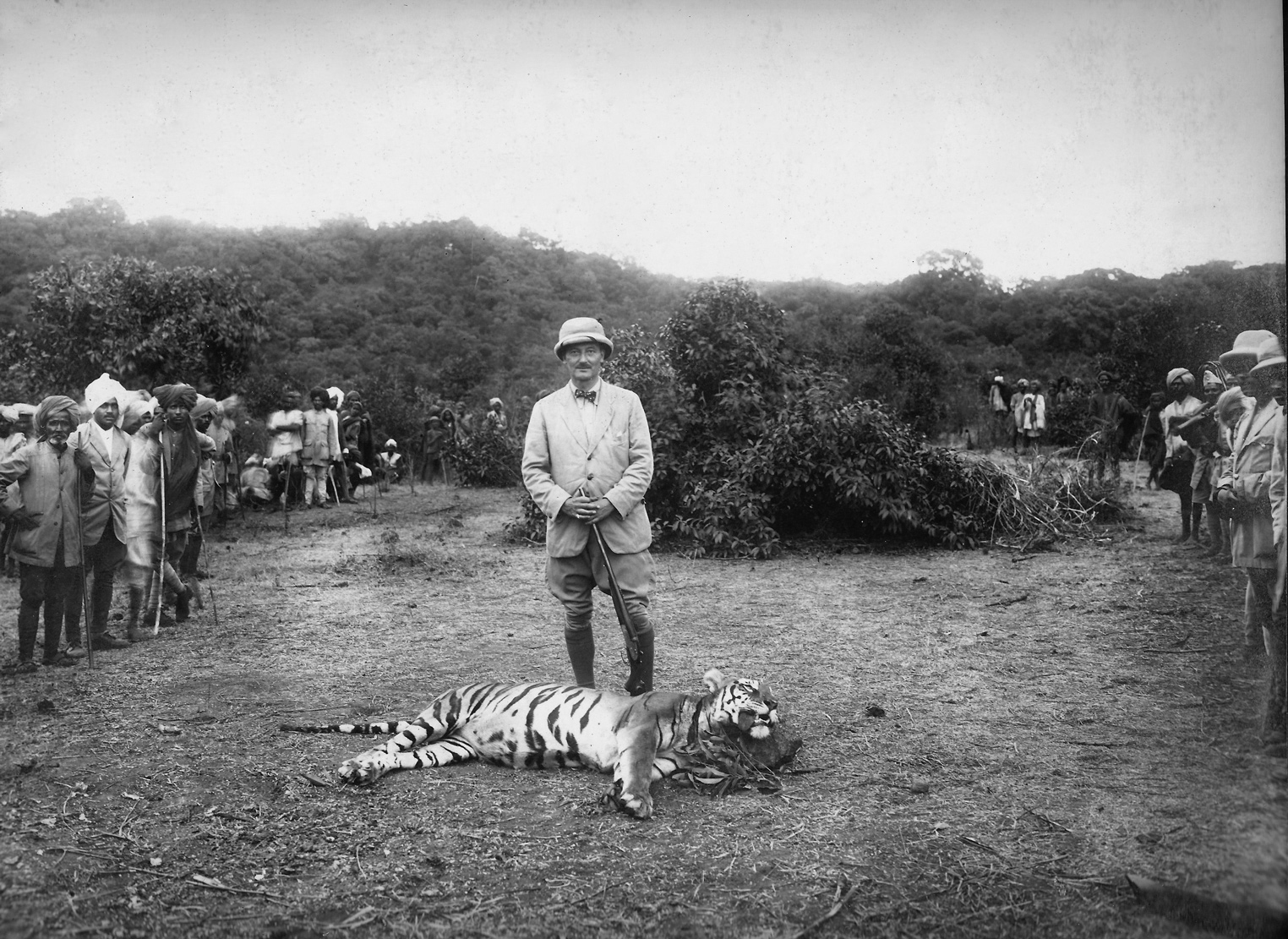 Английский политик Лесли Уилсон с убитым тигром в Индии