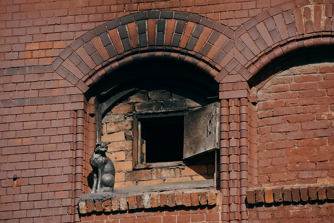 Городская баня Черняховска, фигурка кота