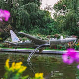 «Цветущий рейс»: участвуем в розыгрыше авиабилетов в Нидерланды и любуемся самолетом из растений
